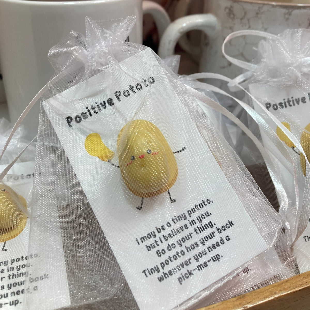 Positive Potato – Cats And Money