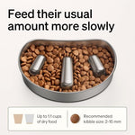 PETLIBRO Bundle: Automatic Cat Feeder with Night Vision Camera + Slow Feeder Bowl