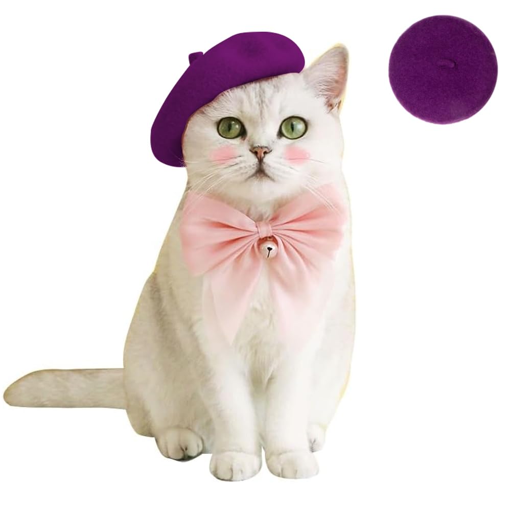 Kitty's Beret