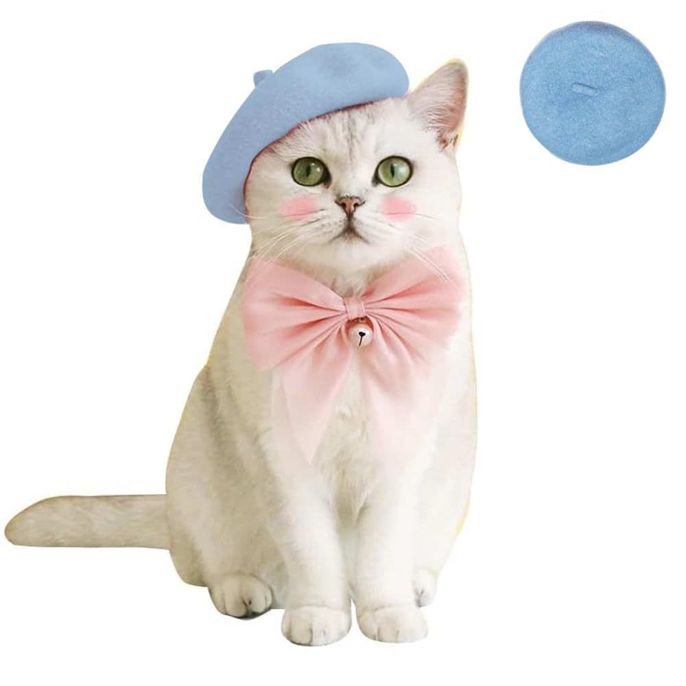 Kitty's Beret