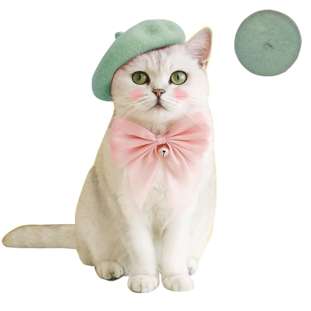 Kitty's Beret