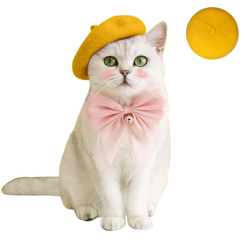 Kitty's Beret