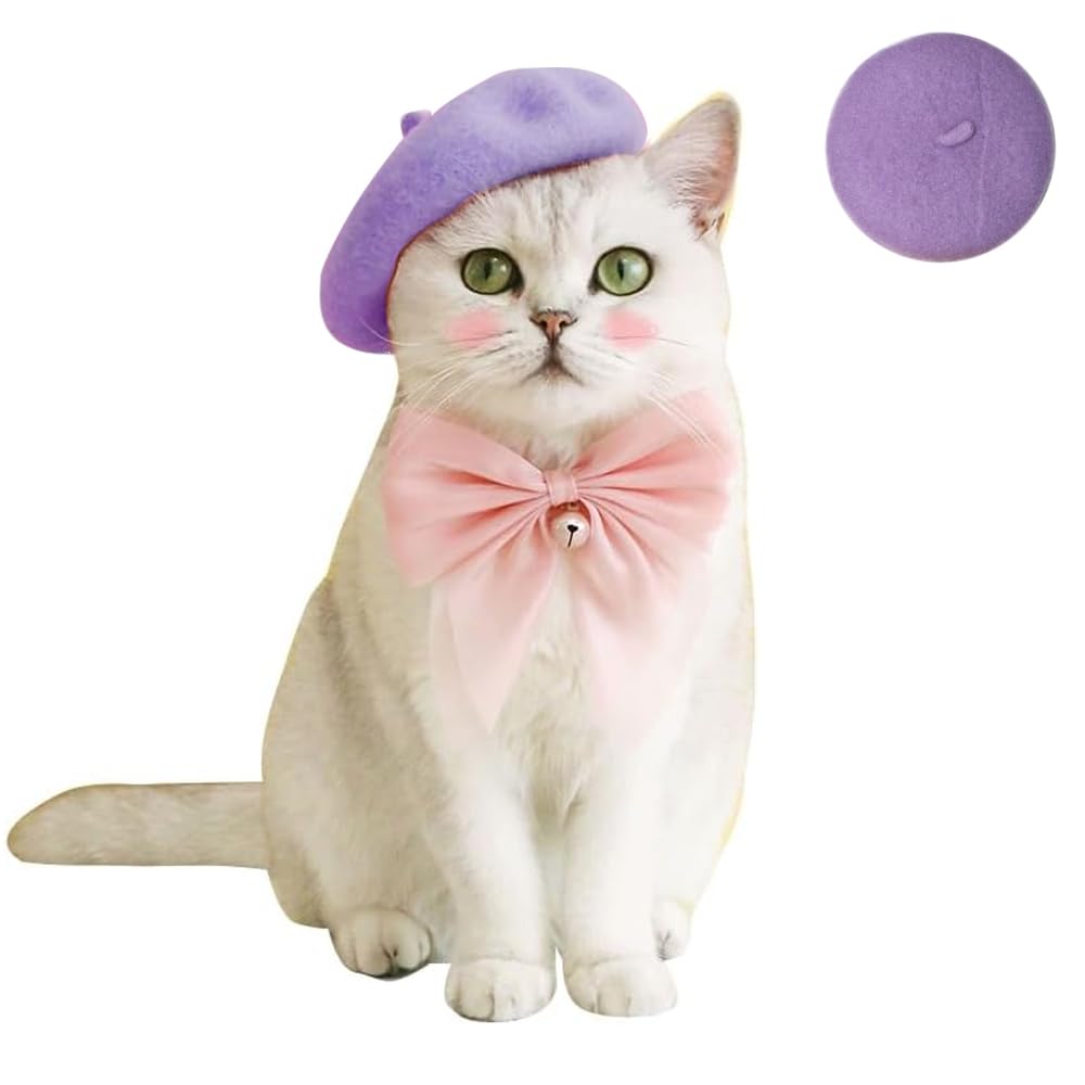 Kitty's Beret