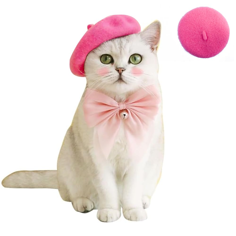 Kitty's Beret