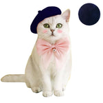 Kitty's Beret