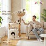 Modern Cat Tree Tower for Large Cats w/2 Flower Perches-Natural Solid Wood Scratching Post with Real Branch