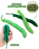 Catnip Green Beans - 4PCS