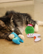 Catnip Green Beans - 4PCS