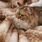 Leopard Print Faux Fur Blanket