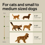 PETLIBRO Bundle: Automatic Cat Feeder with Night Vision Camera + Slow Feeder Bowl