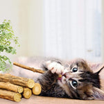 Silvervine Sticks for Cats, Natural Catnip Matatabi Chew Sticks