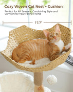 Modern Cat Tree Tower for Large Cats w/2 Flower Perches-Natural Solid Wood Scratching Post with Real Branch