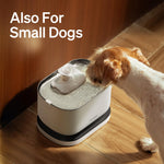 PETLIBRO Cat Water Fountain