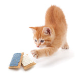 Catnip Pop Tarts