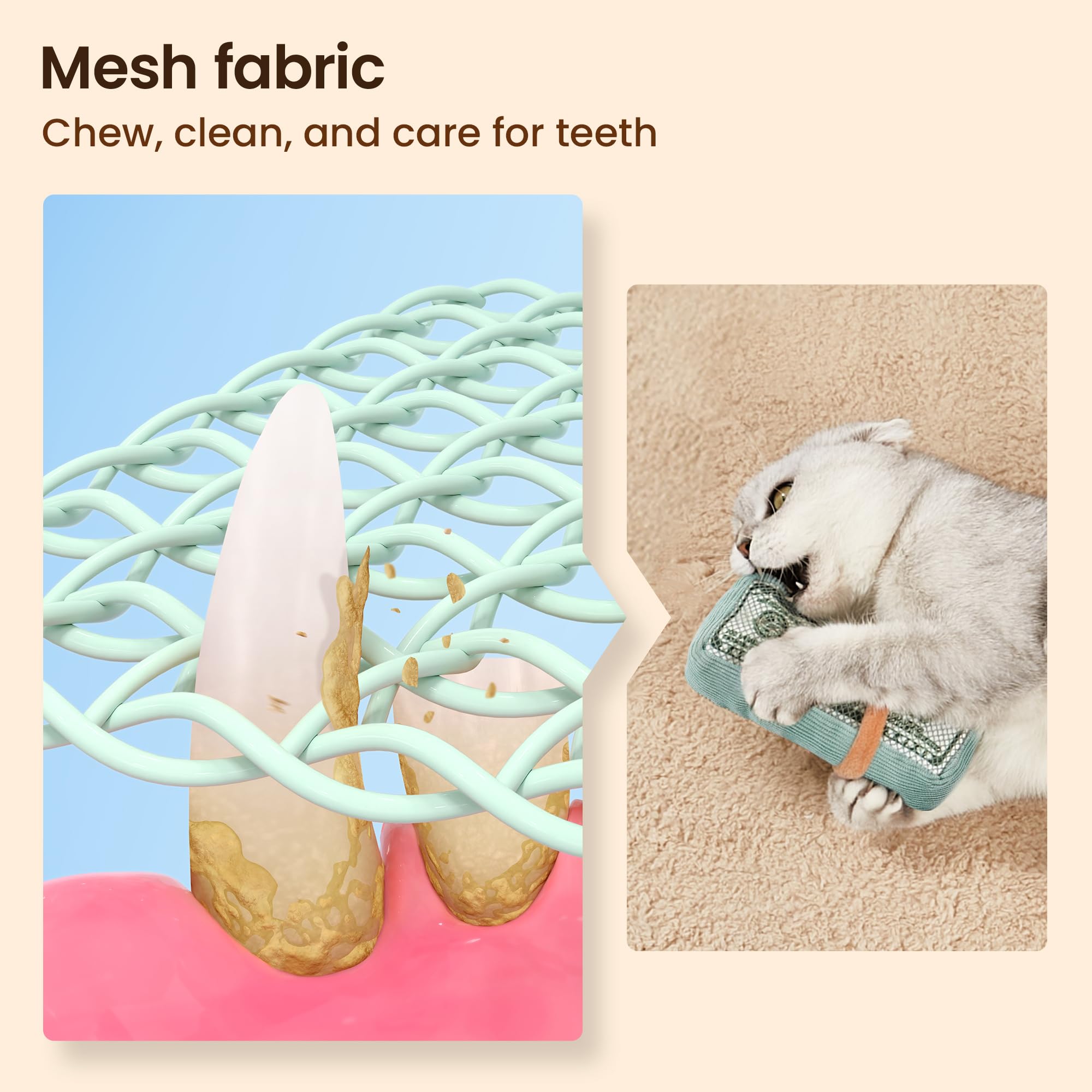 Catnip Cash for Kitty