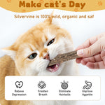 Silvervine Sticks for Cats, Natural Catnip Matatabi Chew Sticks