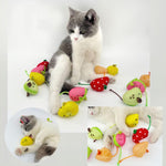 Fruit-Shaped Catnip Mice - 5PCS