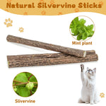Silvervine Sticks for Cats, Natural Catnip Matatabi Chew Sticks