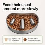 PETLIBRO Bundle: Automatic Cat Feeder with Night Vision Camera + Slow Feeder Bowl