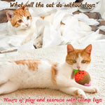 5Pcs Valentine’s Day Conversation Heart Catnip Toys