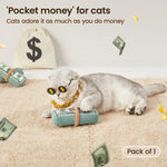 Catnip Cash for Kitty