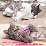 5Pcs Valentine’s Day Conversation Heart Catnip Toys