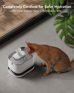PETLIBRO Cat Water Fountain