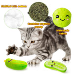 5Pcs Valentine’s Day Conversation Heart Catnip Toys