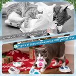 5Pcs Valentine’s Day Conversation Heart Catnip Toys