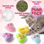 5Pcs Valentine’s Day Conversation Heart Catnip Toys