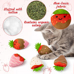 5Pcs Valentine’s Day Conversation Heart Catnip Toys